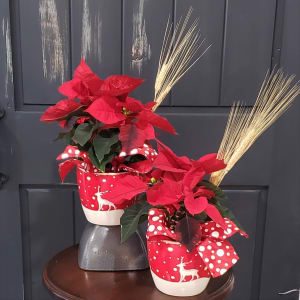 Hoof Prints Petite Poinsettia Pair Flower Bouquet