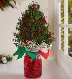 Hand Tied Mini Christmas Tree Bouquet Flower Bouquet