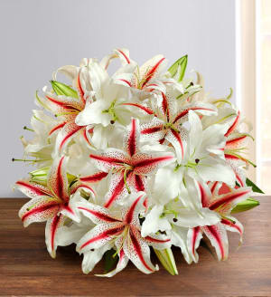 Candy Cane Christmas Bouquet Flower Bouquet