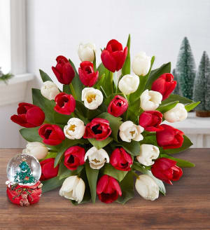 Merry and Bright Tulips Flower Bouquet