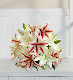 Candy Cane Lilies Flower Bouquet