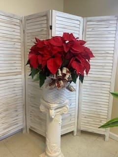  Poinsettia Flower Bouquet