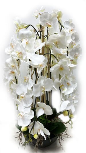 Magnificent Orchiods Flower Bouquet