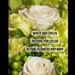 Florist Choice Green and White Mixed Arrangement Flower Bouquet