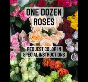 Dozen Roses with Babies Breath and Greens - Choice your color