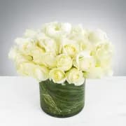 White Sands Two dozen white roses cylinder Flower Bouquet