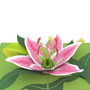 Lovepop Lily Bloom Pop Up Card Flower Bouquet