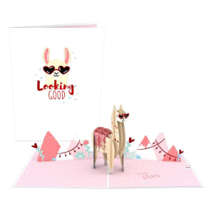 Looking Good Llama LovePop (Pop-up) Greeting Card *ONLY 1 LEFT* Flower Bouquet