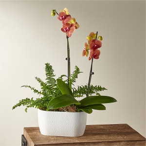 Orchid & Fern Garden Flower Bouquet