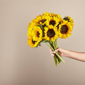 Honey Bee Sunflower Bouquet Flower Bouquet