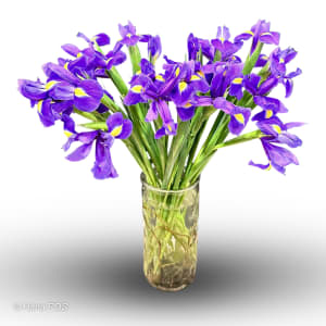 Blue Irises Arrangement Flower Bouquet