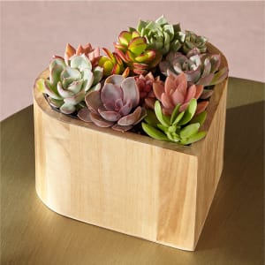 My Heart Succulent Garden Flower Bouquet