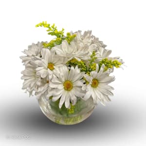 Daisy Love Flower Bouquet