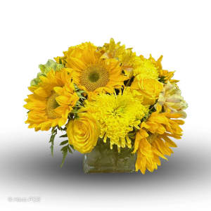 Sunray Arrangement Flower Bouquet