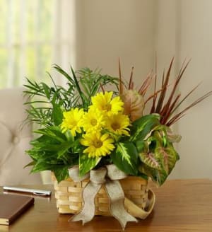 Dish Garden with Fresh Cut Flowers Flower Bouquet