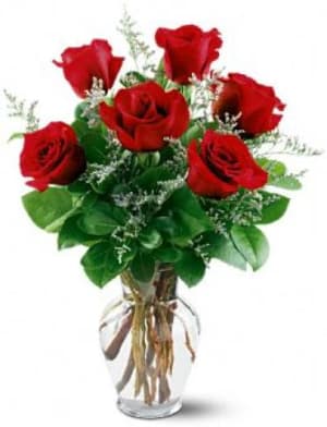 6 Red Roses Flower Bouquet