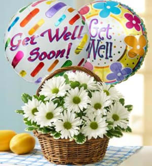 Basket Full of Daisies with Get Well Balloon Flower Bouquet