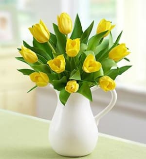 Yellow Tulips in Pitcher Flower Bouquet