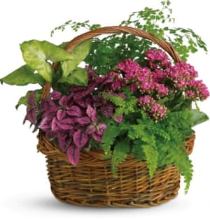 Secret Garden Basket Flower Bouquet