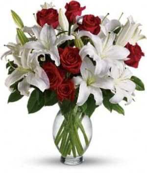 Timeless Romance - Long Stemmed Roses Flower Bouquet