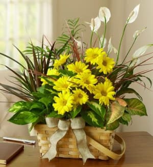 Dish Garden with Fresh Cut Flowers Flower Bouquet