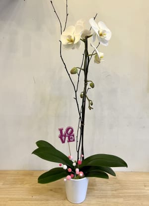 White Valentines Orchid Flower Bouquet