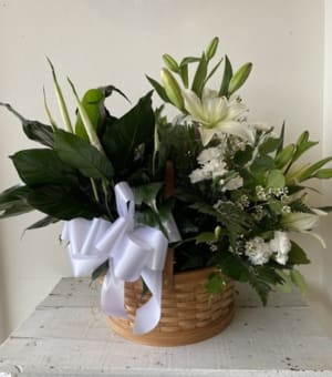 PlantFloralCombo Flower Bouquet