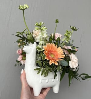 Lovely Llama Flower Bouquet