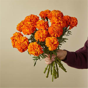 Ms. Marigold Bouquet Flower Bouquet