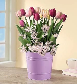 Sweet Spring Blooms Bulbs + Free Suncatcher
 Flower Bouquet