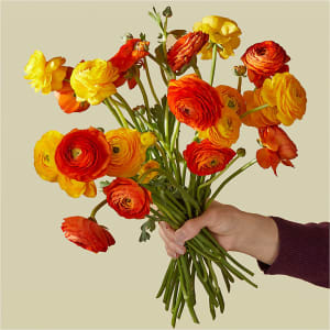 Golden Delicious Ranunculus Flower Bouquet