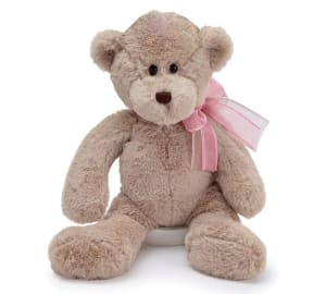 Beige Teddy Bear Plush with Sheer Ribbon Flower Bouquet