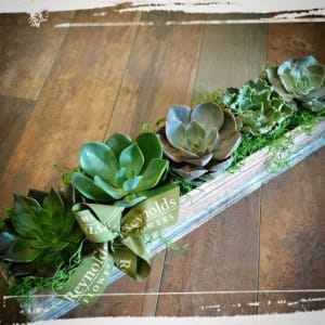 Succulent Tray Wood Box Flower Bouquet