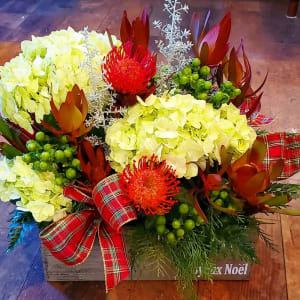 Christmas Hydrangea and Protea Box Bouquet Flower Bouquet