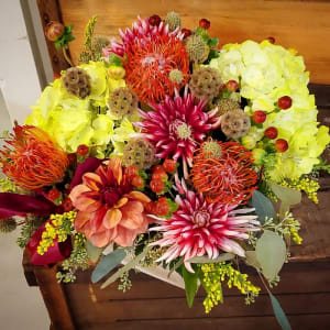 Dahlia, Protea & Scabiosa Pod Box Flower Bouquet