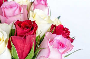 30 Mixed Roses Vased (two-and-a-half-dozen) Flower Bouquet