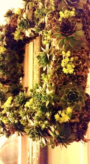 Succulent Wreath Flower Bouquet