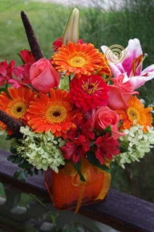 AUTUMN ZINNIA SUNBURST CUBE Flower Bouquet