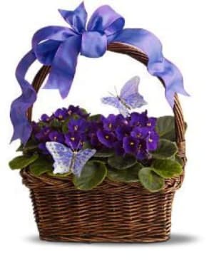 Violets and Butterflies Flower Bouquet