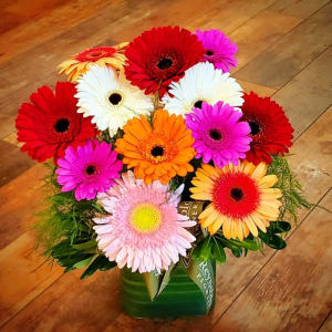 Dozen Gerbera Assorted Cube Vase Flower Bouquet