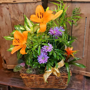 Complimentary Plant Basket Flower Bouquet