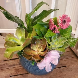 Mixed Succulent, Flowering and Green Plant Garden Flower Bouquet