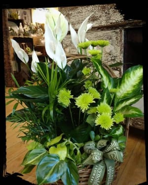 Dish Garden with Green and White Flower Bouquet