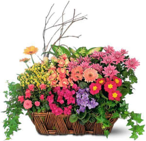 Deluxe European Garden Basket Flower Bouquet