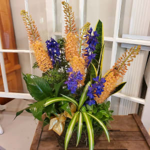 Complimentary Plant Basket with Foxtail Lily Flower Bouquet