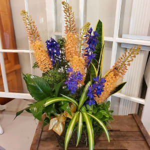 Complimentary Plant Basket Flower Bouquet
