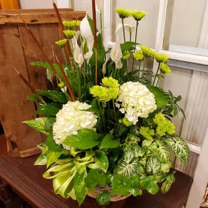 Large Plant Basket in Green & White Flower Bouquet