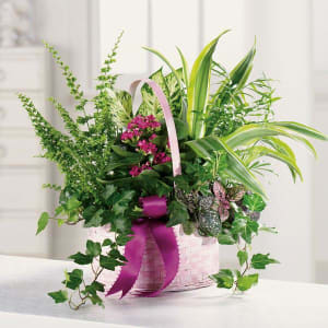 Basket Dish Garden Flower Bouquet