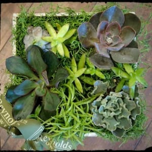 Succulent Box Garden Flower Bouquet