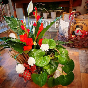 Winter Plant Garden in a Basket Flower Bouquet